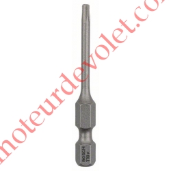 Embout de Vissage Long pour Vis à Tête Torx T10