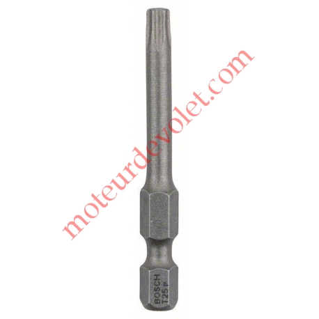 Embout de Vissage Long pour Vis à Tête Torx T25