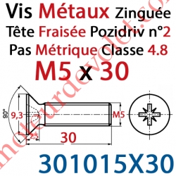 Vis Métaux Tête Fraisée Pozidriv Zinguée 5 x 30 mm Classe 4.8 Din 965