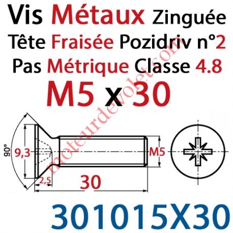 Vis Métaux Tête Fraisée Pozidriv Zinguée 5 x 30 mm Classe 4.8 Din 965