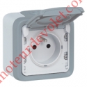 Prise Plexo 2P+T 16A 250v Etanche ip54 Av Socle Saillie Av2 Entrées Coloris Gris