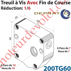 Treuil à Vis 1/6 Capacité 15 Kg Avec Fdc Entrée Hexa 10 Sortie Hexa 7