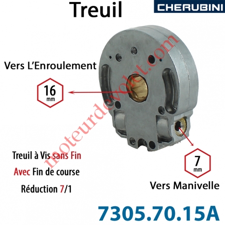Treuil Vis Sans Fin Manoeuvre Hexa 7 Sortie Hexa 16 Femelle Avec FdC Réduction 7/1