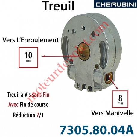 Treuil Vis Sans Fin Manoeuvre Carré 8 Sortie Carré 10 Femelle Avec FdC Réduction 7/1 Autre Réf 73058004A