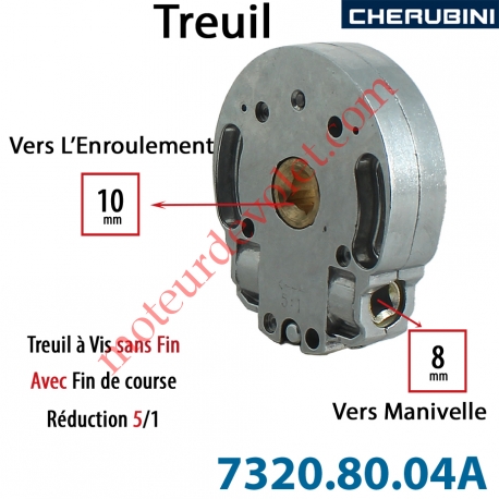 Treuil Vis Sans Fin Manoeuvre Carré 8 Sortie Carré 10 Femelle Avec FdC Réduction 5/1 Autre Réf 73208004A