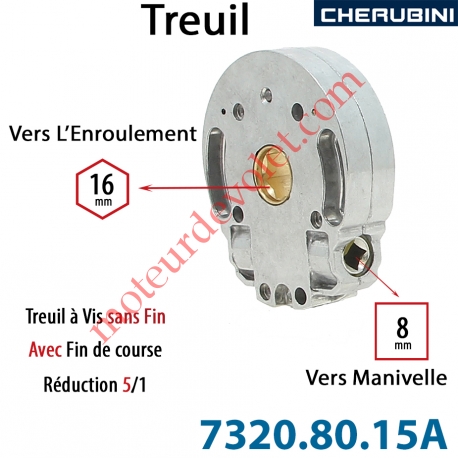Treuil Vis Sans Fin Manoeuvre Carré 8 Sortie Hexa 16 Femelle Avec FdC Réduction 5/1