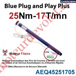 Moteur Cherubini 25/17 Cherubini Blue Plug and Play Plus ø 45 sans Mds