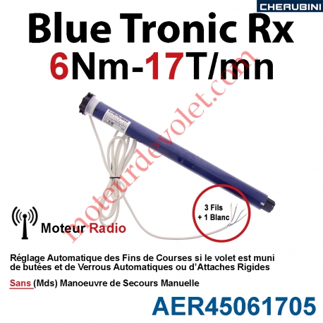 Moteur Cherubini 6/17 Blue Tronic Rx ø 45 sans Mds
