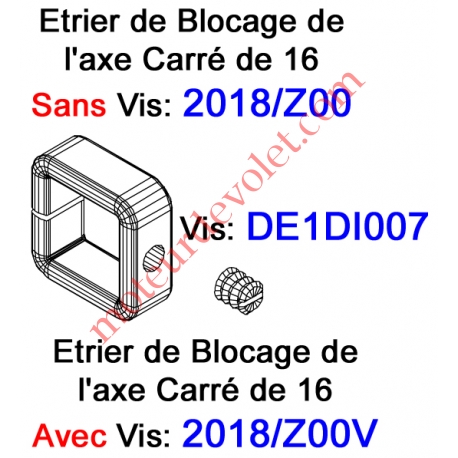 Vis Pointeau Tête Fendue de 6 x 6 mm pour Bague de Blocage Carré de 16 2018/Z00