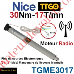 Moteur TT Go Radio 30/17 Avec FdC Electroniques Série M (Medium ø45mm)