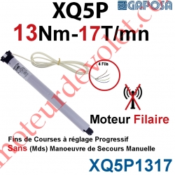 Moteur 13/17 XQ5P Fins de Courses Progressifs sans Mds