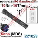 Moteur Bubendorff Radio RG Gauche 10 Nm sans Mds et son Emetteur Mural