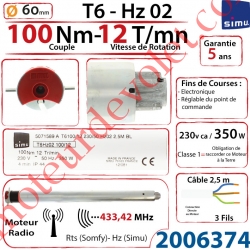Moteur Simu Radio Hz02 100/12 T6