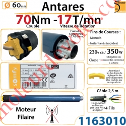 Moteur Somfy Antares 70/17 LT 60