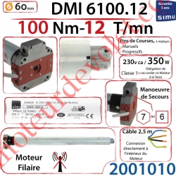 Moteur Filaire Avec Mds T6 Dmi 100/12 Avec FdC à Réglage Progressif