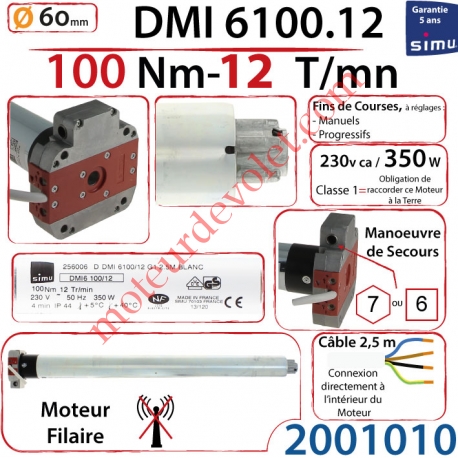 Moteur Filaire Avec Mds T6 Dmi 100/12 Avec FdC à Réglage Progressif