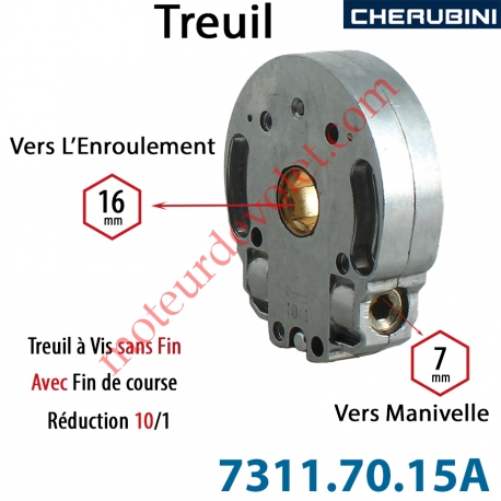 Treuil Vis Sans Fin Manoeuvre Hexa 7 Sortie Hexa 16 Femelle Avec FdC Réduction 10/1