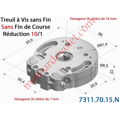 Treuil Vis Sans Fin Manoeuvre Hexa 7 Sortie Hexa 16 Femelle Sans FdC Réduction 10/1