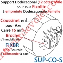 Support Dodécagonal en Carré de 16 mm pour Coffre Fixolite (livré sans broche FIXBR)