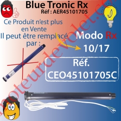 Moteur Cherubini 10/17 Blue Tronic Rx ø 45 sans Mds