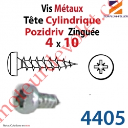 Vis Métaux Tête Cylindrique Pozidriv Zinguée 4 x 10 mm Filetage Total Classe x.x